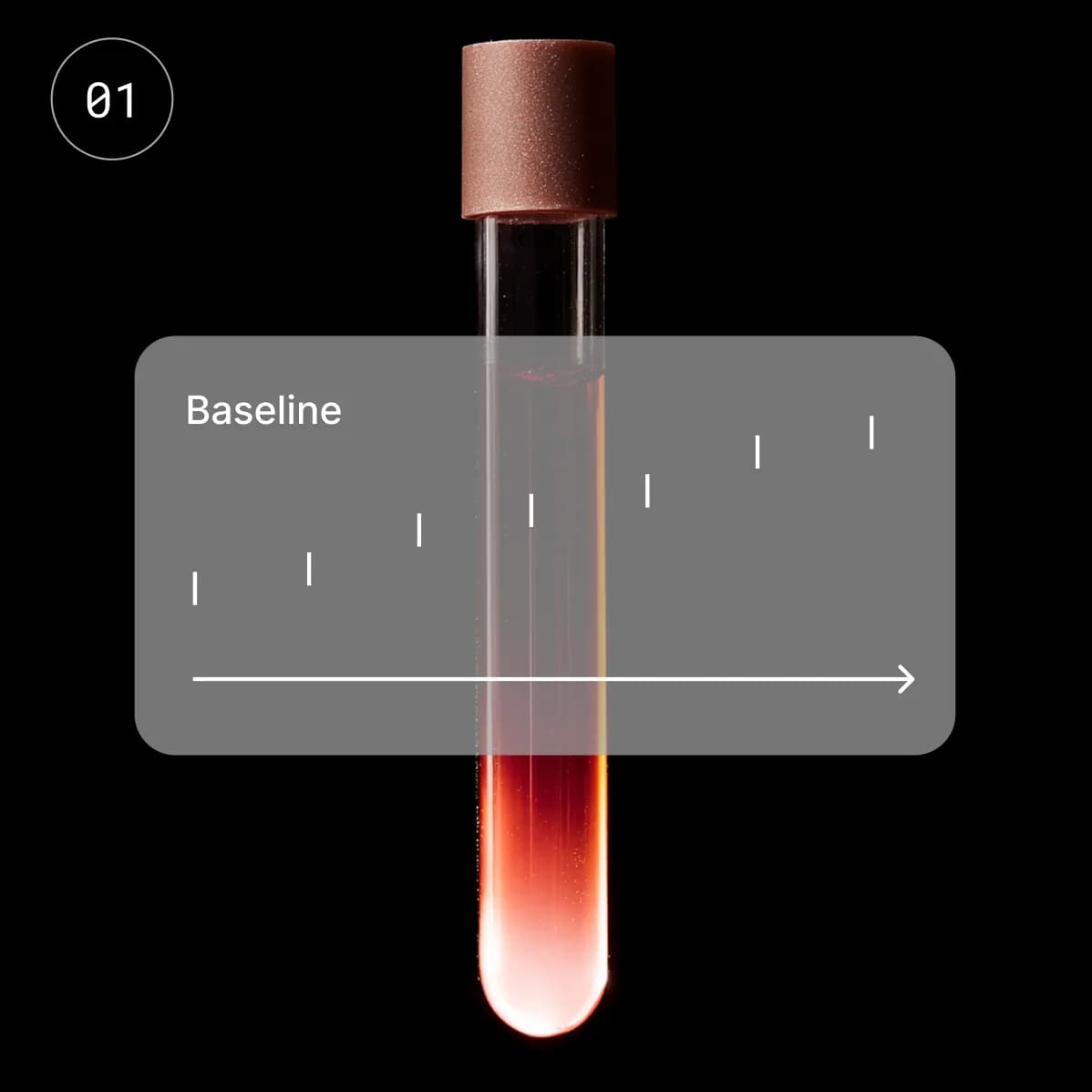 Baseline (Week 1)